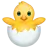 Hatching Chick