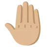 Raised Back Of Hand: Medium-Light Skin Tone Emoji 🤚🏼 image - Google Noto Color style