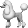 Caniche Emoji 🐩 image - Apple style