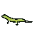 Lizard