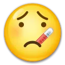 Face With Thermometer