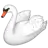 Swan