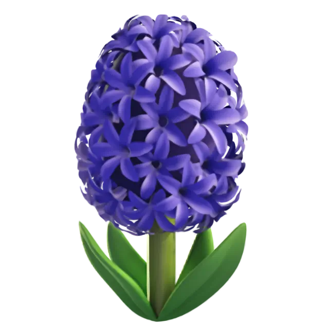 ไฮยาซินธ์