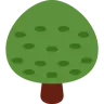 Emoji Foioase 🌳 image - Twitter / X (Twemoji) style