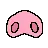 Pig Nose