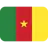Flag: Cameroon