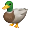 เป็ด Emoji 🦆 image - WhatsApp style