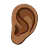 Ear: Medium-Dark Skin Tone