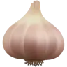 กระเทียม Emoji 🧄 image - Apple style
