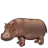 Hippopotamus
