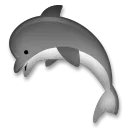 Dolphin