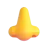 Nose