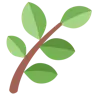 Emoji Erba 🌿 image - Twitter / X (Twemoji) style