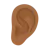 Ear: Medium-Dark Skin Tone