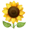 Sunflower Emoji 🌻 image - WhatsApp style