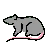 Sıçan Emoji 🐀 image - OpenMoji style