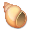 Spiral Shell