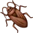 Cockroach