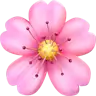 Cherry Blossom Emoji 🌸 image - Apple style