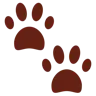 Emoji Stampe della zampa 🐾 image - Twitter / X (Twemoji) style