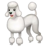 Caniche Emoji 🐩 image - WhatsApp style