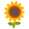 Sunflower Emoji 🌻 image - Google Noto Color style