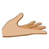 Palm Up Hand: Medium-Light Skin Tone Emoji 🫴🏼 image - Google Noto Color Animated style