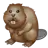 Beaver