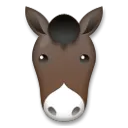 Horse Face