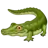 Crocodile