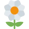 Emoji Fiorire 🌼 image - Twitter / X (Twemoji) style