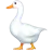 Goose