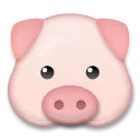 Pig Face