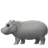 Hippopotamus