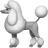 Poodle