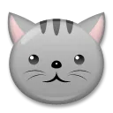 Cat Face