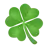 Four Leaf Clover