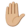 Raised Hand: Medium-Light Skin Tone Emoji ✋🏼 image - Google Noto Color Animated style