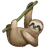 Sloth