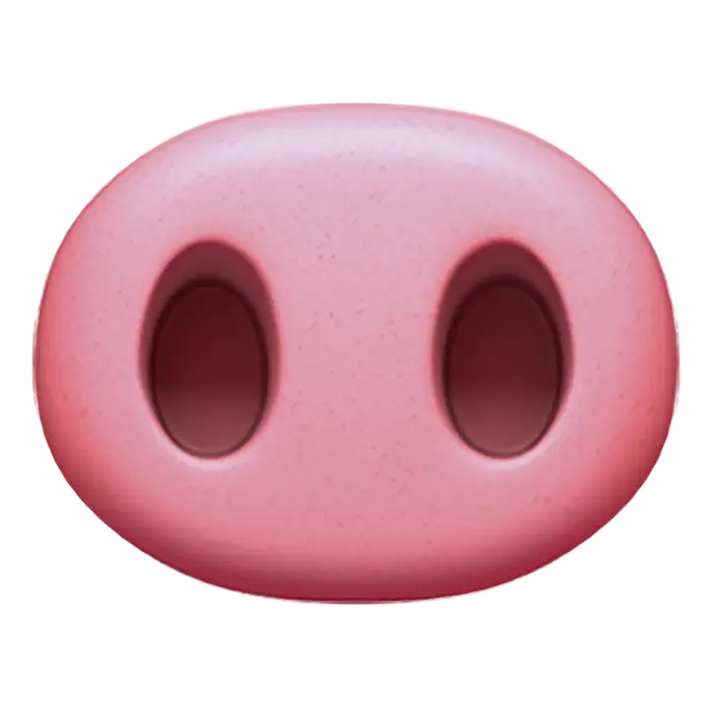 จมูกหมู