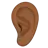 Ear: Medium-Dark Skin Tone