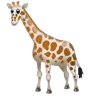 长颈鹿的脸 Emoji 🦒 image - WhatsApp style