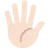 Hand With Fingers Splayed: Light Skin Tone