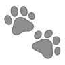 Emoji Stampe della zampa 🐾 image - Telegram style
