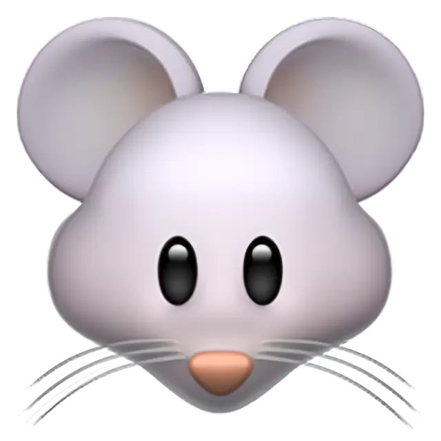 Mouse Face
