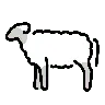 Emoji pecora 🐑 image - OpenMoji style