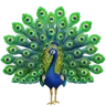 Emoji Pavone 🦚 image - Apple style