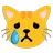 Crying Cat