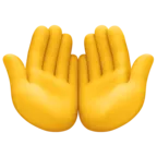 Emoji Palms Up Together 🤲 image - Facebook Meta style