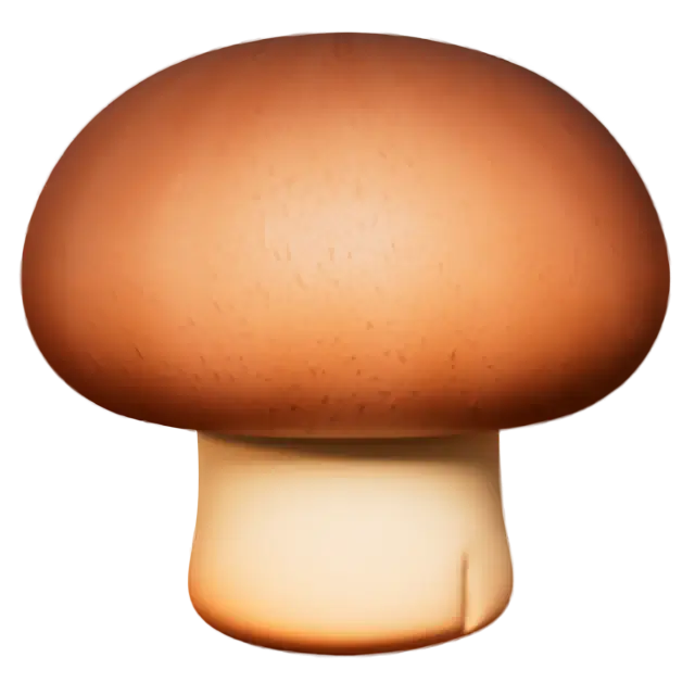 Brown Mushroom